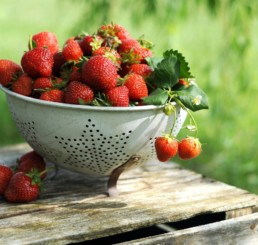Freshly cut strawberries from a farm in Switzerland. 